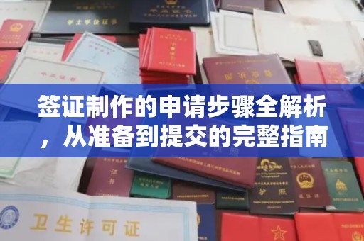 从化签证制作的申请步骤全解析，从准备到提交的完整指南
